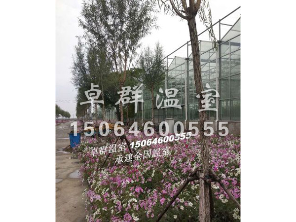 天津市西青区水生植物园.jpg