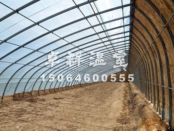 诸城市薄膜拱形温室.jpg