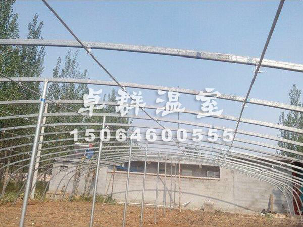 邵庄镇育苗薄膜温室.jpg