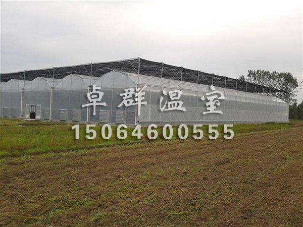 薄膜拱形温室