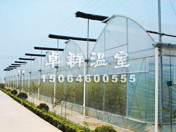 薄膜拱形温室