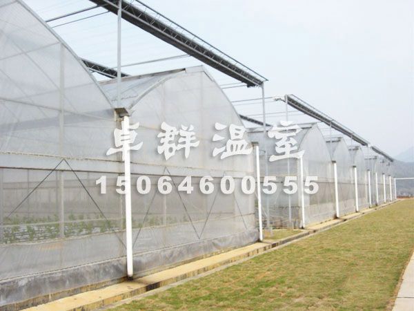 薄膜拱形温室