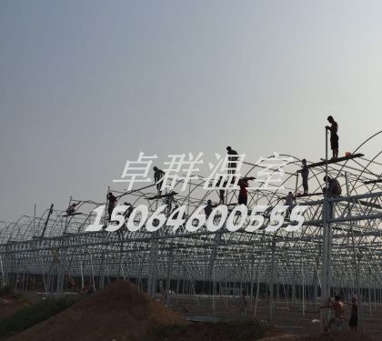 青州市南环路花卉市场