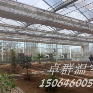 <img src=upfile/images/2019/11/24/small3_15745533365680692.jpg height=150>