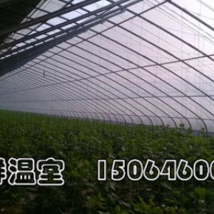 <img src=upfile/images/2020/05/08/small3_15889064975062162.jpg height=150>