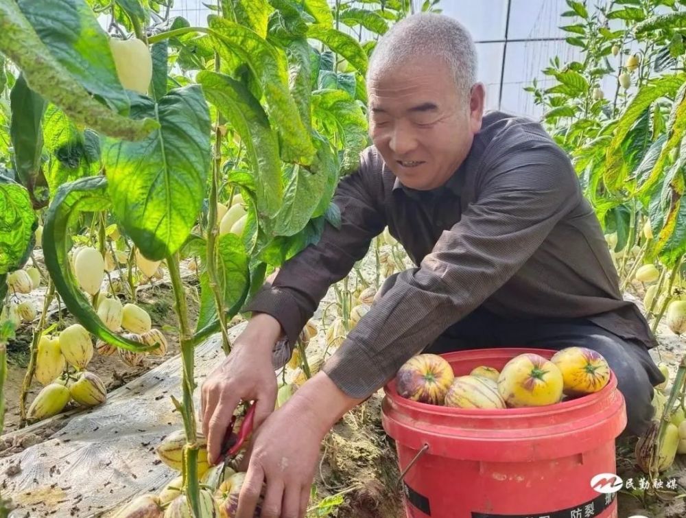 戳我试试