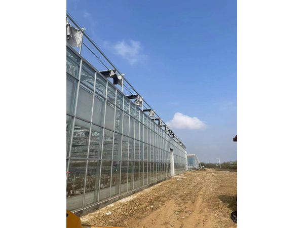 玻璃温室
