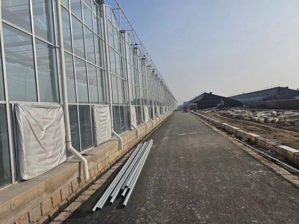玻璃温室